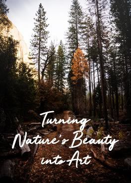 nature-wood-art Turning Nature's Beauty into Art